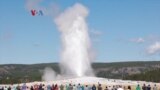 Perayaan 150 Tahun Taman Nasional Yellowstone