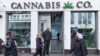 El cannabis, un excepcional punto de consenso antes de las elecciones estadounidenses