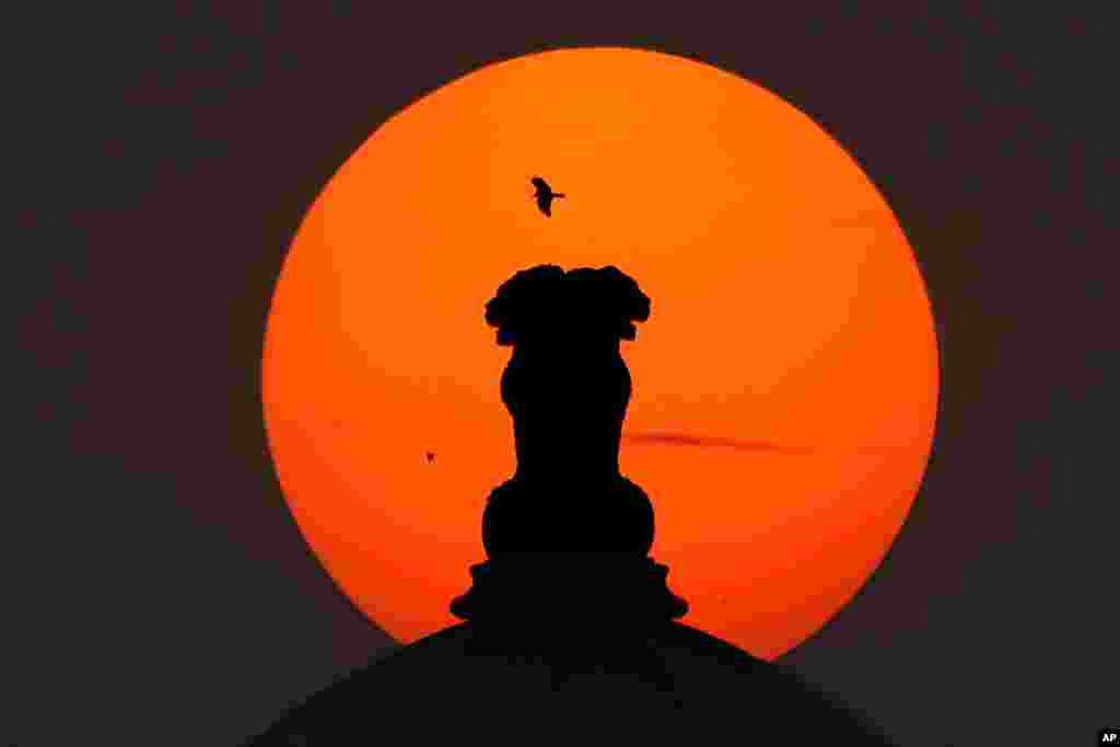 An eagle flies past an Indian emblem placed on the top of the Telangana State Secretariat building against the setting sun, in Hyderabad.