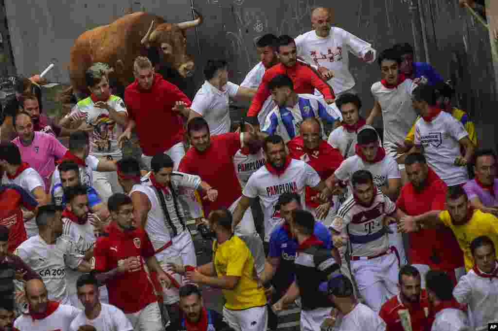 A Cebada Gago's fighting bull runs behind revelers during the third day of the running of the bulls during the San Fermin fiestas in Pamplona, Spain.