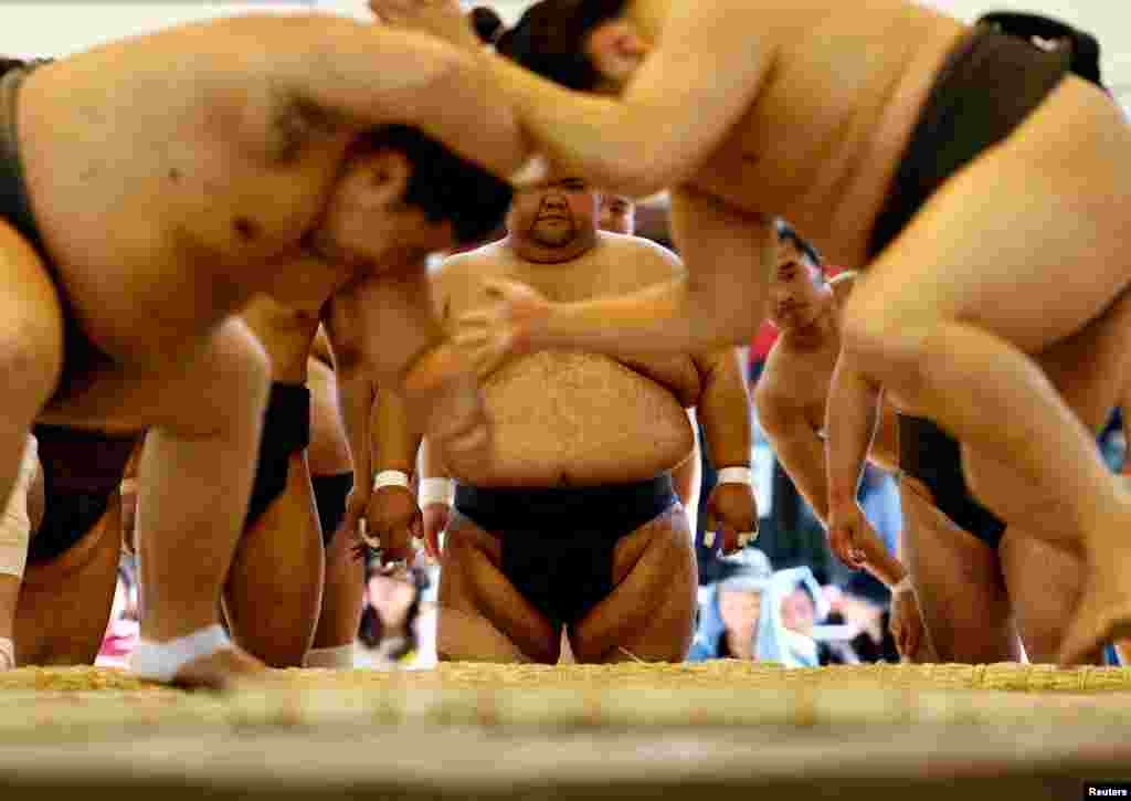 Sumo wrestlers take part is a training session before the "Honozumo" ceremonial sumo tournament at the Yasukuni Shrine in Tokyo, Japan.