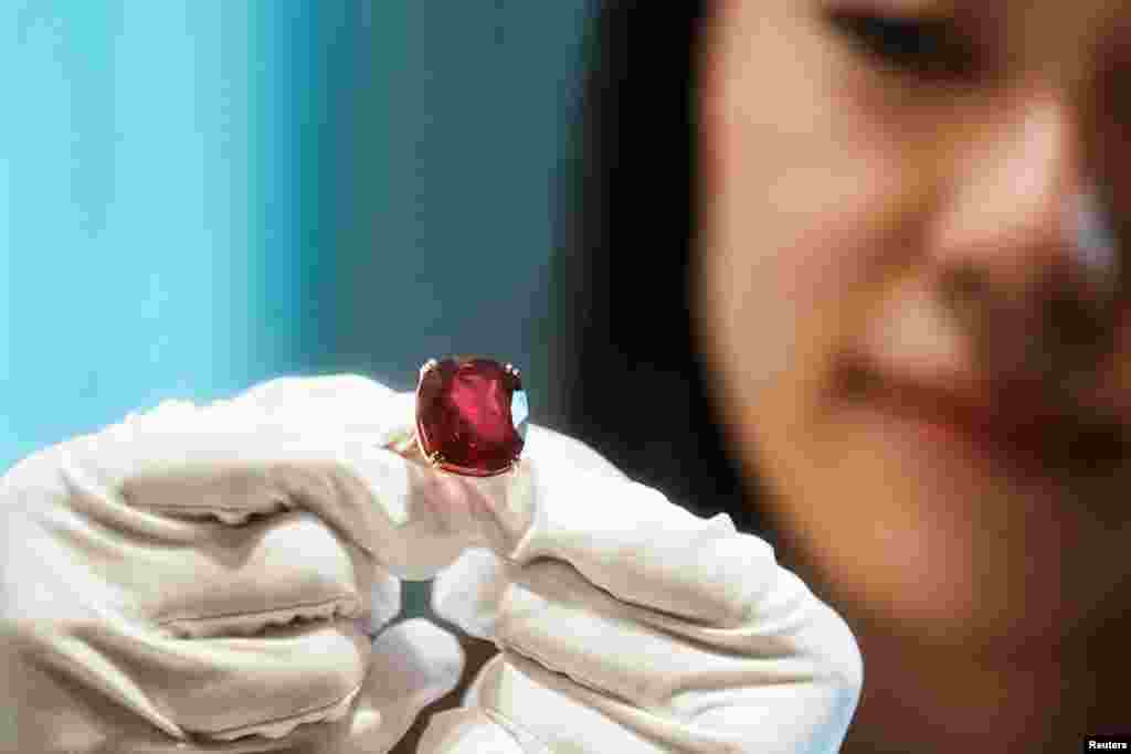 An employee poses with the 55.22 carat "The Estrela de Fura" ruby, the largest in the world and expected to fetch up to $30 million in an upcoming New York auction, during a preview at Sotheby's, in Hong Kong.