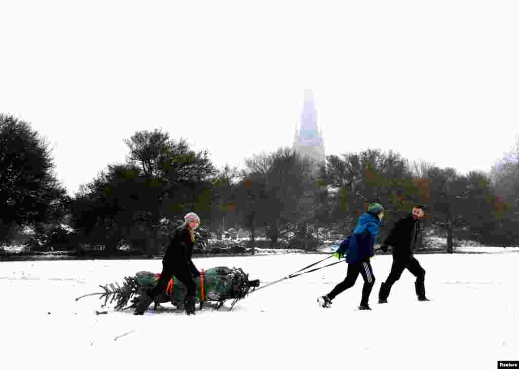 A family pulls a Christmas tree on a sledge through the village of Keele, Staffordshire, Britain.