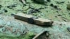 Detalle de la presencia de petróleo en restos de madera en las costas del norte del Lago de Maracaibo, en el occidente de Venezuela, en julio del año pasado.
