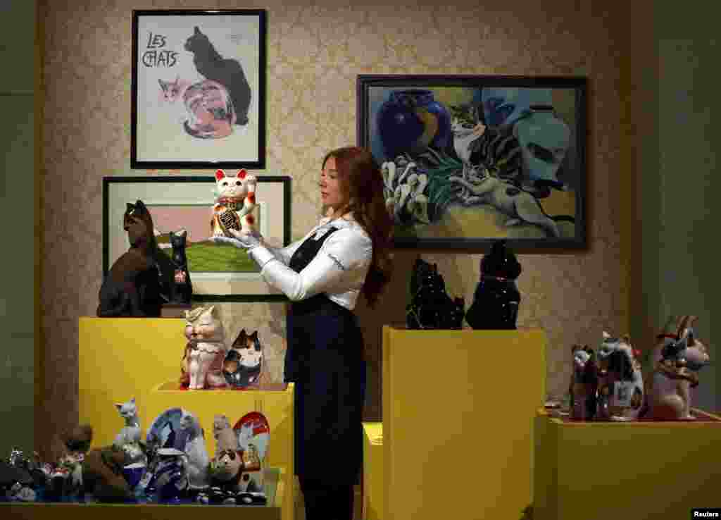 A Sotheby's handler examines various cat memorabilia on display, during Sotheby's 'Freddie Mercury: A World of His Own' press preview in London.