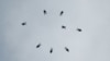 16x9 Image