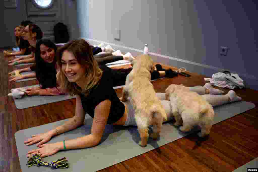 Participants perform a yoga exercise as Golden Retriever puppies play around them during a yoga class at a studio in Paris, France, Dec. 20, 2023.