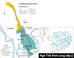 Hình trái: Lưu vực sông Mekong – Mekong River Basin or Watershed [MRC 2000]; phải, ĐBSCL là một vùng châu thổ hay tam giác châu (Delta), lớn thứ 3 của thế giới, với lịch sử hình thành do phù sa từ thượng nguồn đổ xuống, lắng đọng lại nơi 9 cửa sông từ suốt bao nhiêu ngàn năm qua. Việc nhà nước CSVN tùy tiện đổi tên thành Lưu vực sông Cửu Long (6) là sai, cả về phương diện địa chất và thủy văn. ĐBSCL hiện nay đang từ từ bị tan rã do “nước đói – hungry water” không còn phù sa, nước đói trở lại “ăn đất”, gây sạt lở hai bên bờ sông và ven bờ duyên hải; chỉ riêng mũi Cà Mau mỗi năm đã mất hơn 600 mẫu đất và tốc độ lẹm đất ấy ngày một gia tăng. [Ghi chú của Ngô Thế Vinh]