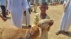 Wasudan wapoteza Shauku ya EID 
