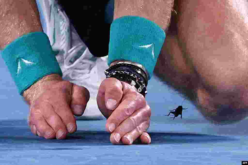 Russia's Andrey Rublev tries to remove a cricket from the court during the men's singles match against USA's Sebastian Korda on day six of the Australian Open tennis tournament in Melbourne.