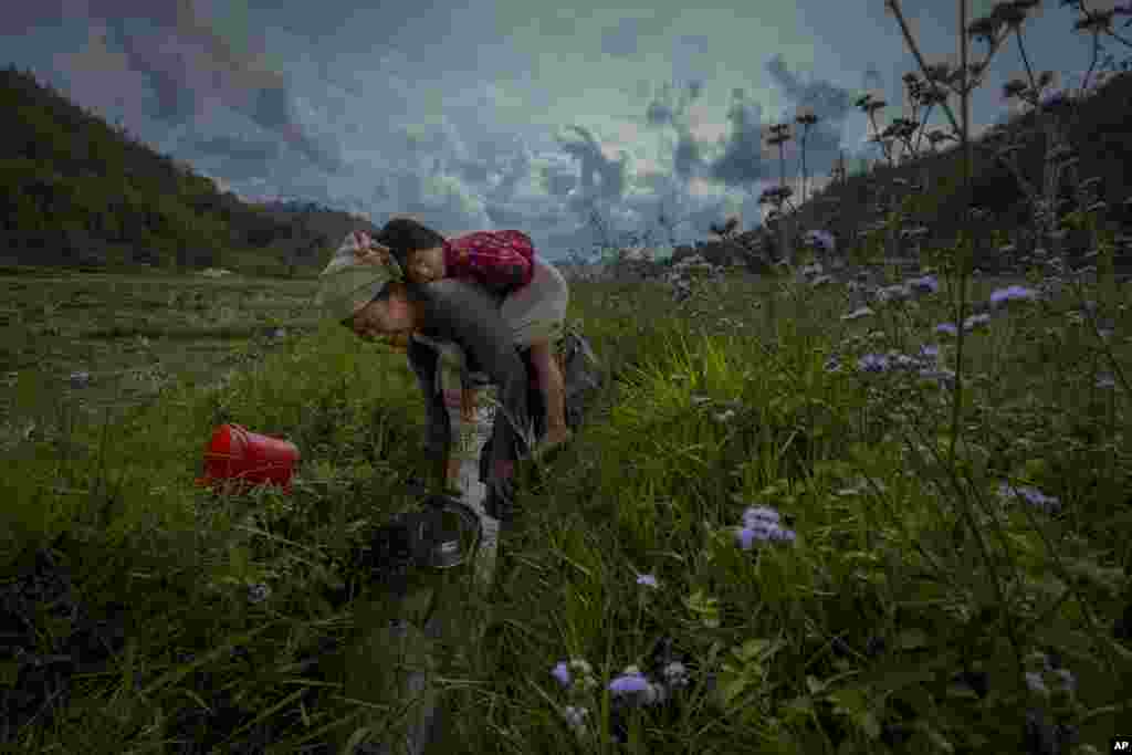 A tribal woman tries to catch small fish as her grand daughter dozes off on her back at a paddy field on the outskirts of Guwahati, northeastern Assam state, India.