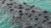 16x9 Image