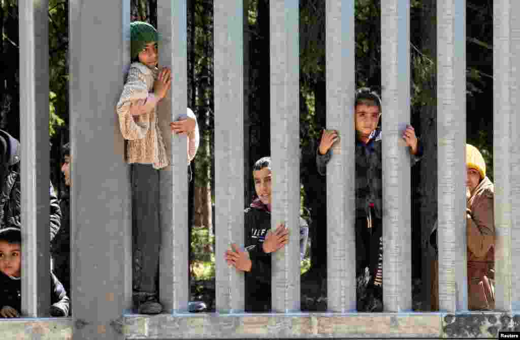 Migrants stand near the wall on Polish Belarusian border near Bialowieza, Poland, May 28, 2023. (Agnieszka Sadowska/Agencja Wyborcza.pl via Reuters)