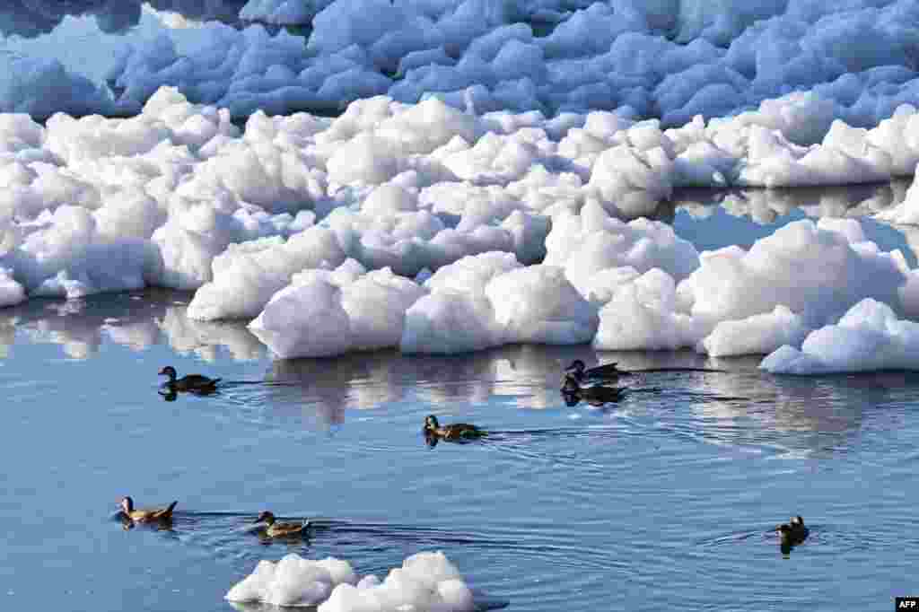 Birds swim on the Tiete River, which is covered with toxic foam, in Salto, 100km from Sao Paulo, Brazil. During the dry season, the sewage that is dumped into the river in the metropolitan region of Sao Paulo forms a toxic foam composed of phosphates and phosphorus present in biodegradable household products such as soap, detergent, soap, toothpaste and shampoo, causing pollution.