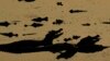 16x9 Image