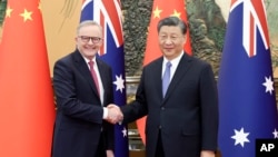 Thủ tướng Úc Anthony Albanese gặp Chủ tịch Trung Quốc Tập Cận Bình tại Đại lễ đường nhân dân ở thủ đô Bắc Kinh hôm 6/11