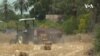 Les agriculteurs tunisiens visent l'autosuffisance en blé