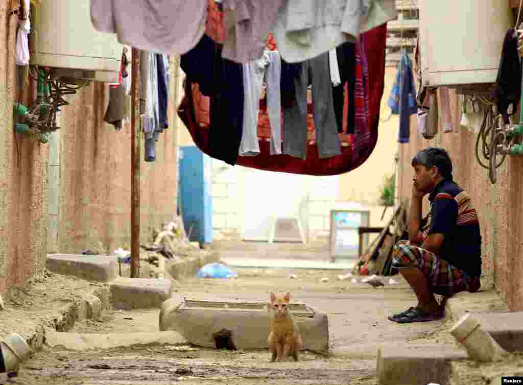 Seekor kucing tampak di sebuah tempat penampungan pekerja di Qadisiya, Saudi Arabia.
