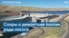  Сложный эко-выбор: плотины или лосось? 