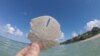 National parks in the Caribbean hold wonders below and above the waterline.