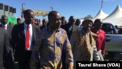 VaNelson Chamisa naIshe Ndiweni