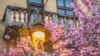 Cherry Blossom in Skopje, North Macedonia
