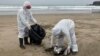 Declaran emergencia sanitaria en Perú por influenza aviar