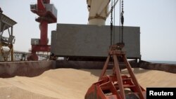FILE - Wheat grain is seen on the MV Brave Commander vessel from Yuzhny Port in Ukraine as it docks in Djibouti, Aug. 30, 2022. (Hugh Rutherford/World Food Program/Handout via Reuters)
