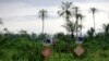 FILE - Signposts inform about the presence of a pipeline in a bush in Ughelli, Delta state, Nigeria, Sept. 16, 2020. Nigerian authorities confirmed Feb. 3, 2022, that an offshore oil production facility exploded in the region.