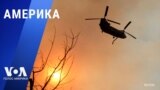 «Америка» – 13 января 2025 