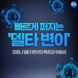 [잠깐 상식] 빠르게 퍼지는 '델타 변이'