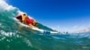 A canine competitor at the 7th annual Surf City Surf Dog competition in Huntington Beach, California, Sept. 27, 2015. (Courtesy: Dominique Labrecque)