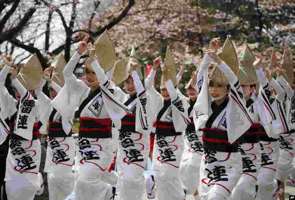 在东京墨田公园樱花节，身穿传统服装的日本女子表演传统舞蹈（2017年4月2日）