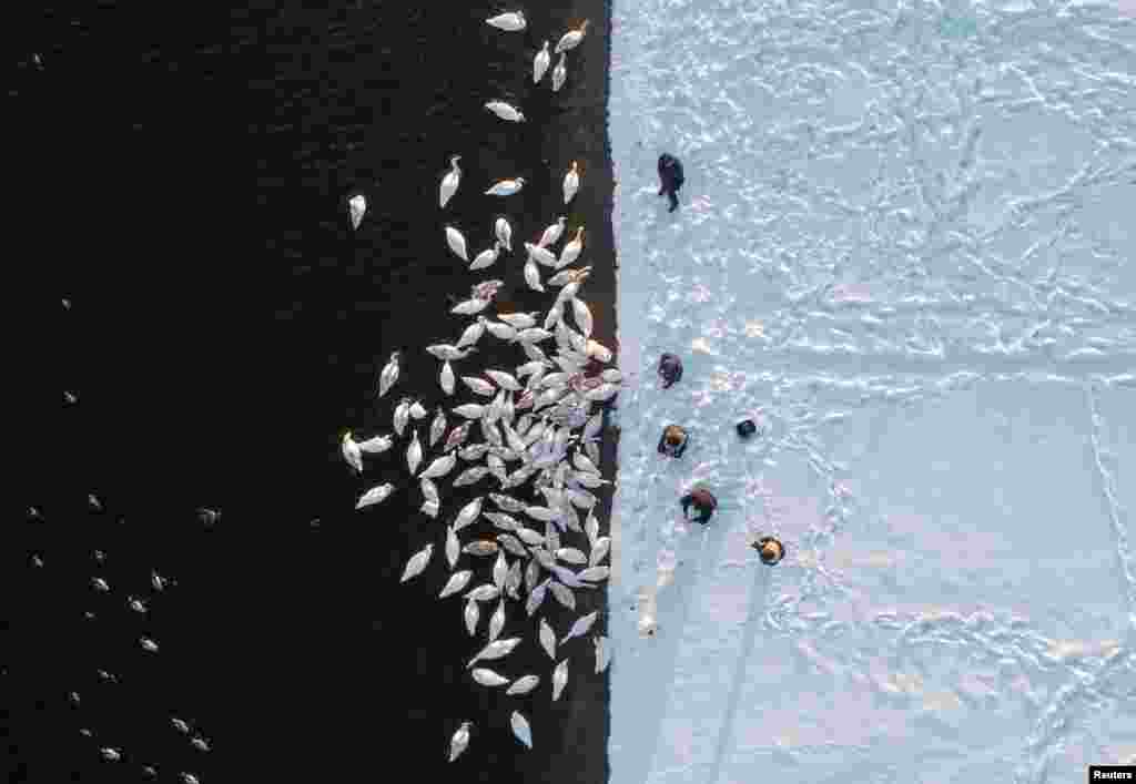 People feed swans on the bank of a water reservoir of the Khmelnytskyi Nuclear Power Plant (KhNPP) near the town of Ostroh, Ukraine.