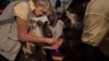 Rotary polio vaccination day in Kaduna, Nigeria (Rotary International)