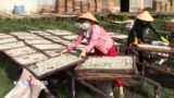 Nghề phơi cá làm khô ở Cà Mau