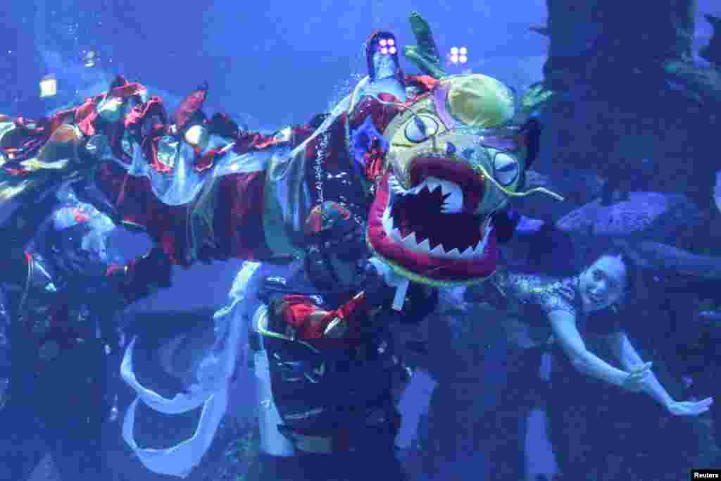 Divers perform an underwater dragon and mermaid show during Chinese Lunar New Year celebrations at an aquarium in Jakarta, Indonesia.