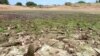 The food and nutrition crisis facing countries in West Africa’s drought-prone Sahel region deteriorated at an alarming rate in March 2012. (IAEA)