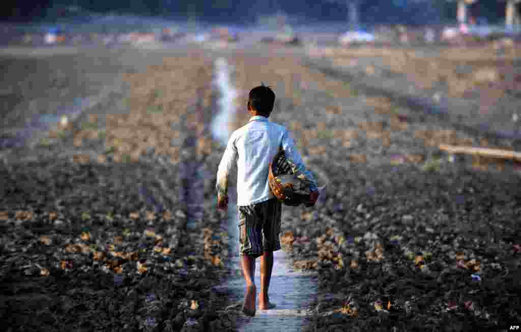 An Indian flower seller returns through a marshland after the floodwaters receded at the sangam area in Allahabad.