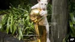 NBA Final 1