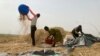 Hunger Crisis Looms in Nigeria’s 'Food Basket' Amid Conflict 