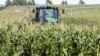 Tramp zbog tarifa pomaže farmerima sa 12 milijardi dolara
