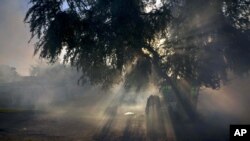 Un caballo pasta en medio del vapor de fumigaciones en la provincia de Pinar del Río en Cuba. La isla ha militarizado la lucha contra el Zika, asignando 9.000 soldados a los esfuerzos de fumigación. 
