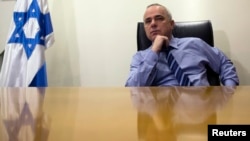Minister Yuval Steinitz is seen in a January 2, 2013, file photo.