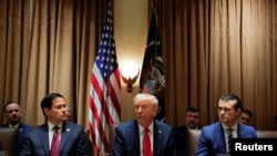 Президент Дональд Трамп на заседании кабинета министров. Слева от него – госсекретарь Марко Рубио. Справа – глава Пентагона Пит Хегсет. Белый дом, 26 февраля 2025 г. 