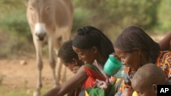 Sociedade Tchokwe