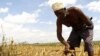 Fome mata crianças em Angola