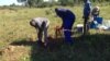 Kugejwa ingcwaba lababulawa yiGukurahundi eMatabeleland North.