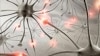 Developing countries bear most of the world's epilepsy burden. (WHO)