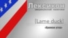 Хромая утка (Lame duck)